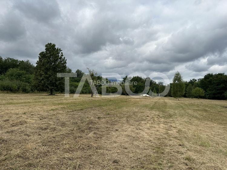 Teren intravilan 8000 mp cu anexa gospodareasca in Vistisoara - 3