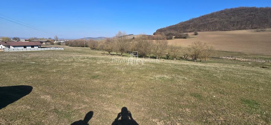 Teren 4 362 Mp Intravilan de Vanzare, Str Caprioarei, Sangeorgiu de Ms - 8