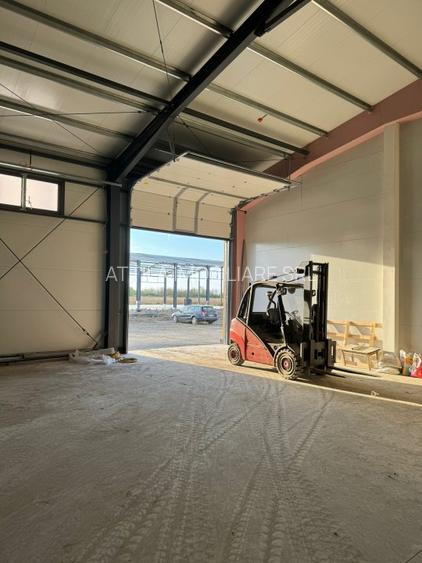 Hala Mosnita Noua 300 mp/5 euro+ TVA - 3