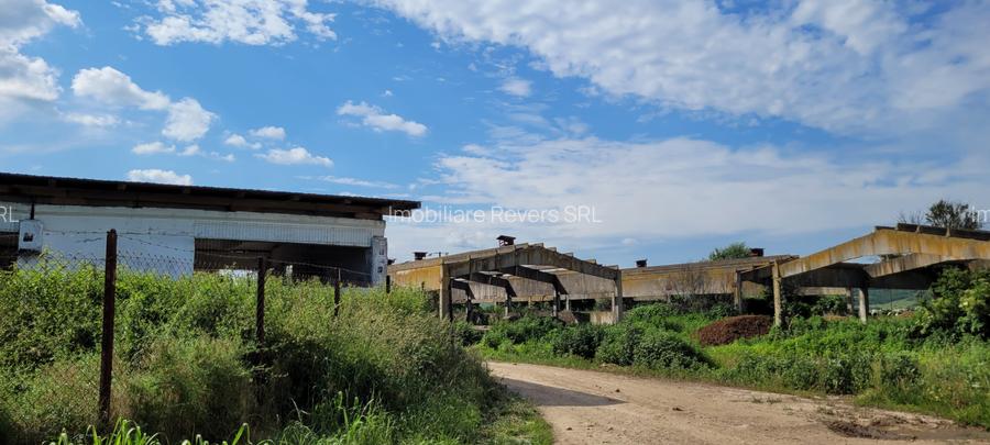 TEREN AGRICOL BABENI LANGA ABATOR LA PROVINCIA - pretabil ferma cu panour solare - 22