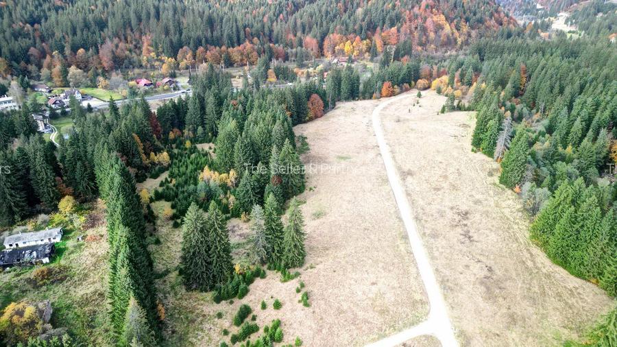 Poiana lui Manole - teren Intravilan - 6