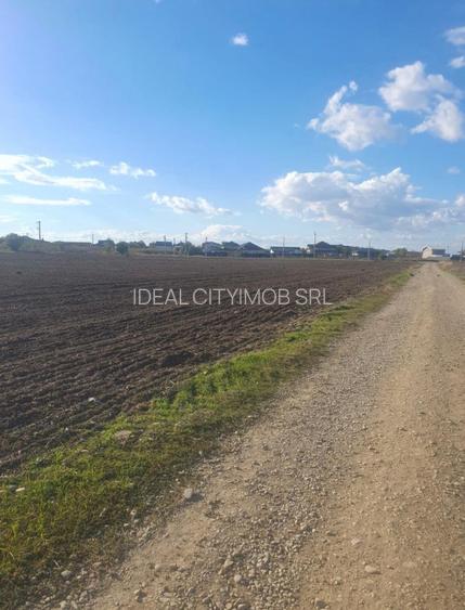 Teren intravilan 16.608 mp – 1 Decembrie, Ilfov | Deschidere 60 mp - 4