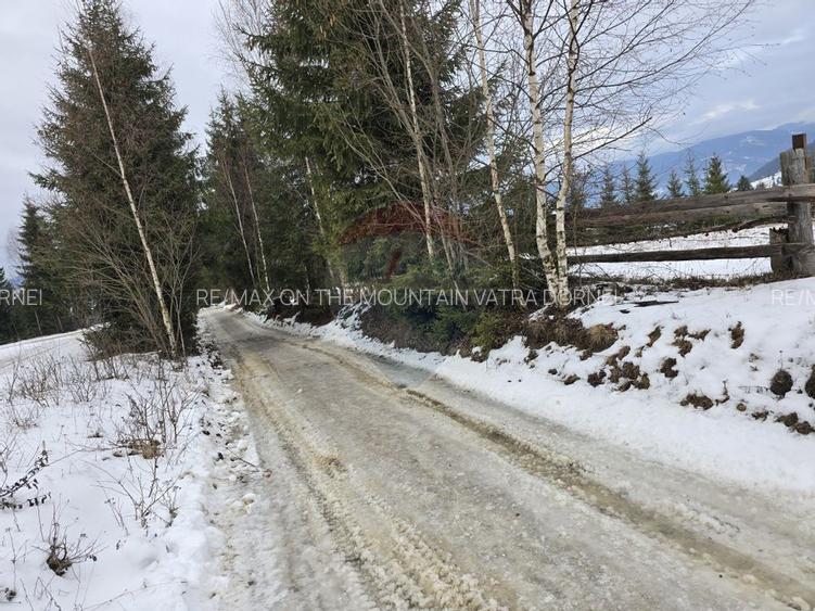 Teren 3,868mp Dorna-Arini / Strada Principala - 3