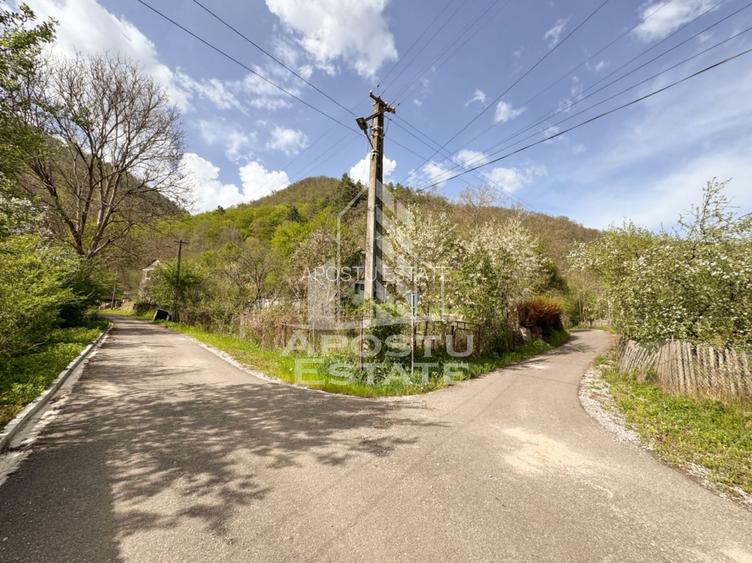 Casa batraneasca cu 2 camere, vedere panoramica, in Toplita, Hunedoara - 12