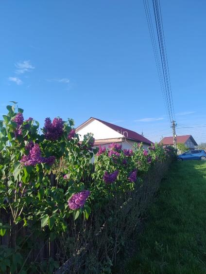 Casă de vânzare în Cucorăni - 6