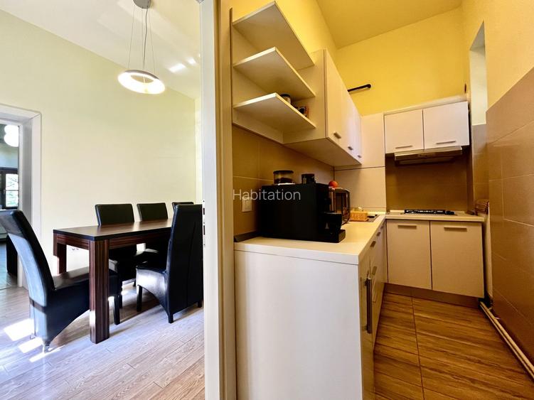 Apartament pretabil birou sau investiție, Central - Take Ionescu - 10