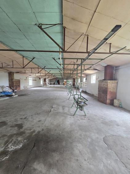 Teren cu hale de vanzare sau inchiriere ideal  investitie - Medies - 9