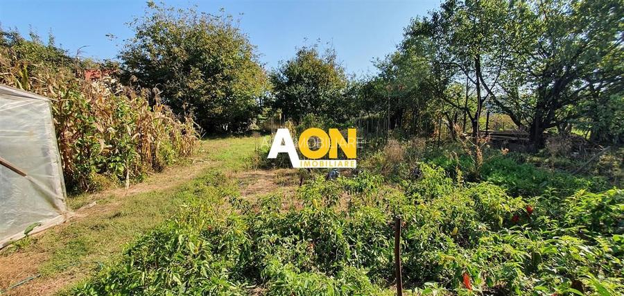 Casa cu 5 camere, 1500 mp teren, Centru. Pretabila pentru muncitori - 3