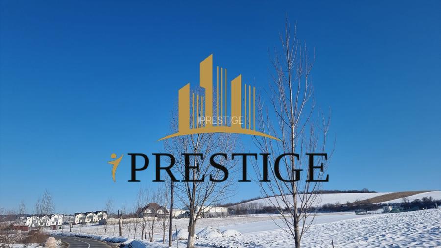 TEREN  DE VÂNZARE 6695 MP ÎN SIBIU ȘURA MARE - 3