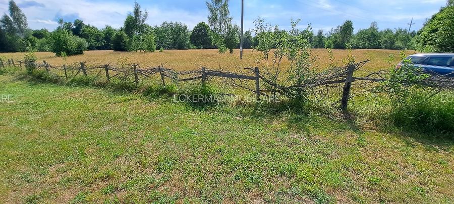 Bughea de Jos-Imparatia Mlacilor, teren de vanzare, 3000 mp, 27 ml deschidere - 4