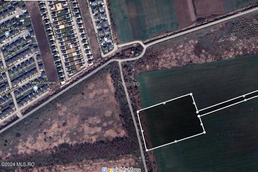 	Corbeanca - Tamasi, intravilan, 16562 mp, deschidere 93 m, rezidential! - 7