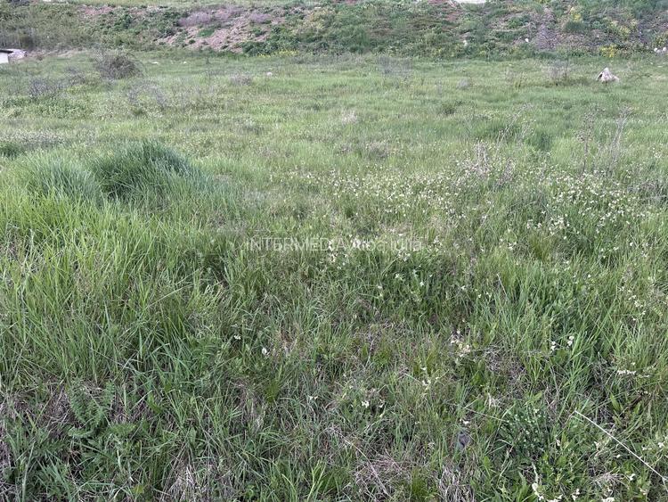 TEREN INTRAVILAN I 2900 MP I IDEAL PENTRU CONSTRUCTIE BLOCURI I P+ 3 I - 2