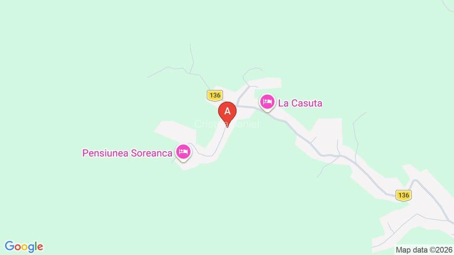 Teren intravilan 2000 mp Fieni – toate utilitatile + drum asfaltat - 6