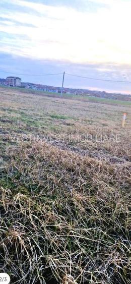 Teren intravilan Paleu cu PUZ si PUD aprobat - 2