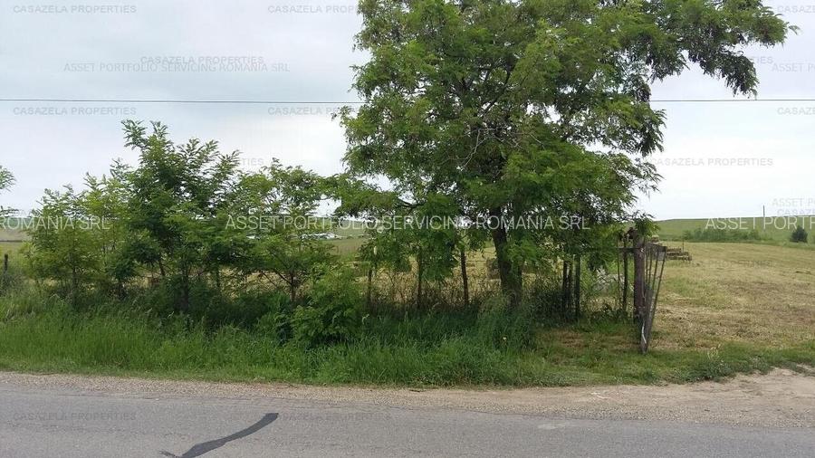 TEREN ARABIL EXTRAVILAN S. 1.800MP - TG. NEAMT - 2