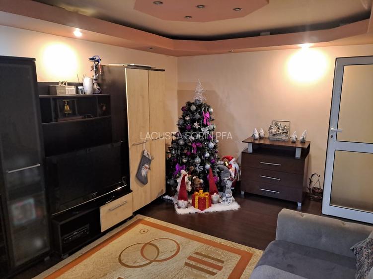 Salaj - Parc Pecineaga, centrala proprie, amenajat, mobilat, utilat, boxa - 7