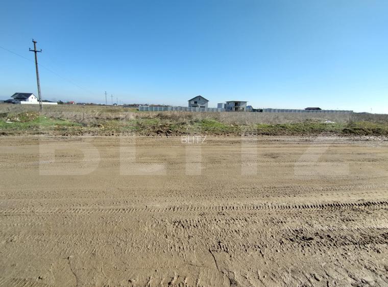 Lot 5 parcele intravilan, Metro, 7439 mp, acces la utilitati - 5