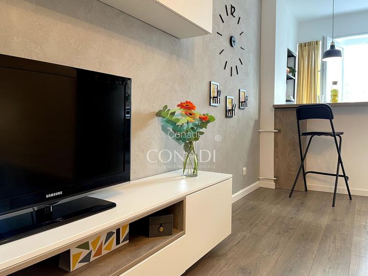 Garsoniera renovata modern str Nada Florilor - Teiul Domnei - 5