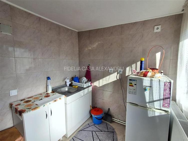 3 case + 808mp teren - Letcani,Iasi - 10