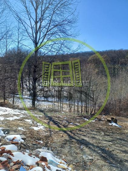 Teren de vanzare 1500 mp Cisnadioara - 9