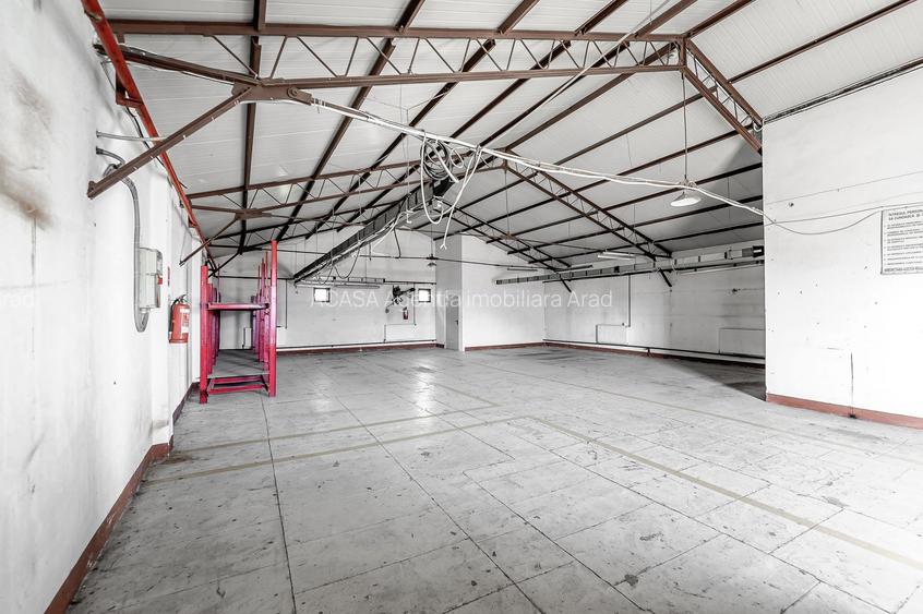 4.049 mp Hale industriale în Arad, aproape de A1 - 4