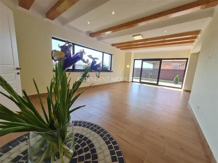 In stil mediteranean, curte proprie, 4 camere, terasa, pod mansardabil, Harman, - 21