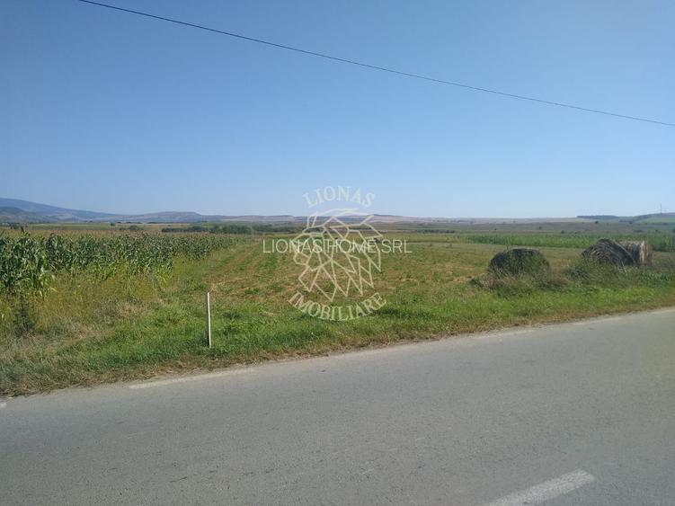 Teren 20000 mp (2 ha)-parcelabil-ideal cabane/agricultura/ferma-Jelna - 2