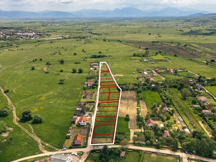 Pachet de 16 loturi individuale, în suprafață totală de 10.000 m² - 2