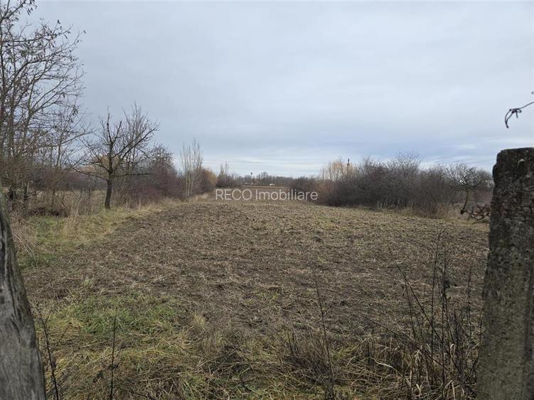 RECO Casa in Boiu - 13