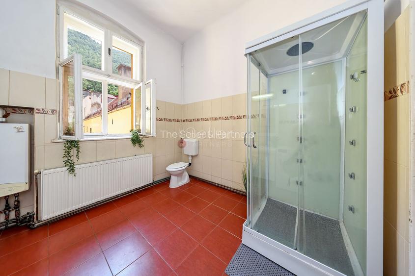 Zona Centrala Structura Generoasa - 21