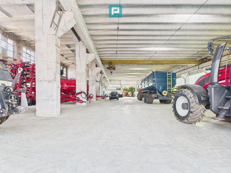 Complex industrial cu hale și teren  în Orțișoara - 4