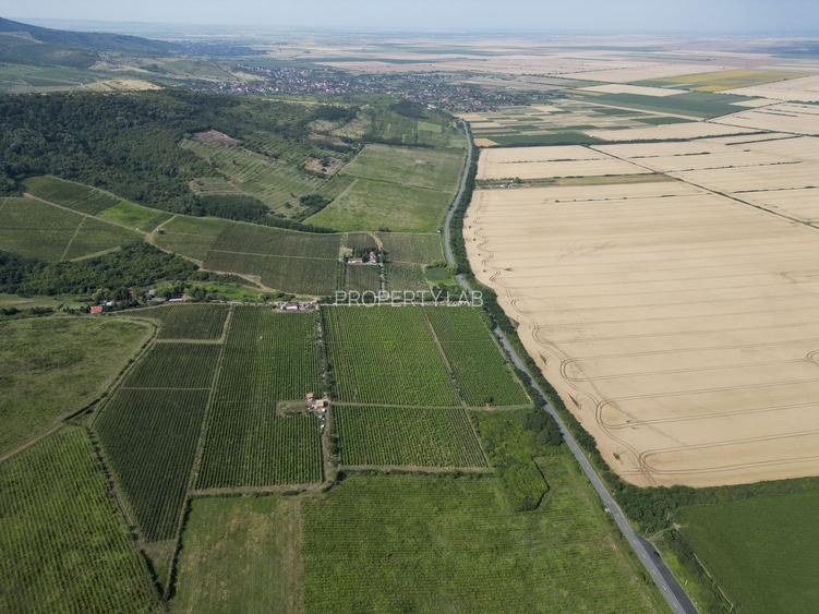 Vie Tradițională „Halta Lupilor” - 32