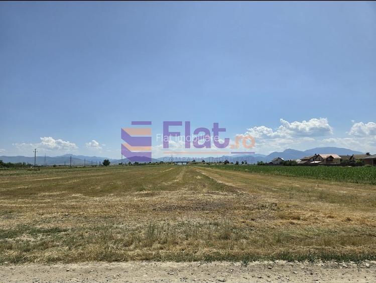 Teren intravilan de vânzare în Hărman, Brașov cu utilitati - 5