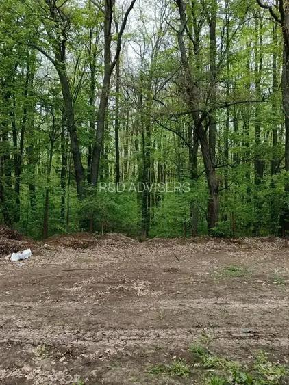 Duplex de Lux 4 Camere cu Grădină – Erou Iancu Nicolae – Comision 0% - 7