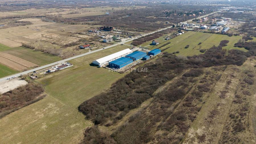 Teren extravilan de 7.000 mp lângă Păltiniș - 11