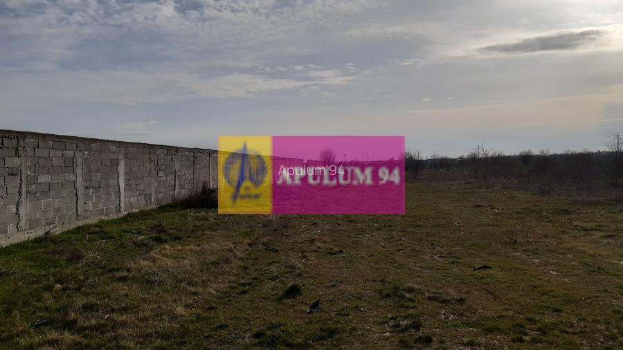 Parcelă lângă pădure în Ilfov - 9