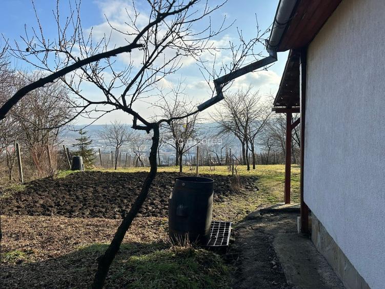 Vand Casa PLATOUL Cornesti str. CORNESTI- teren 1150 mp - 14