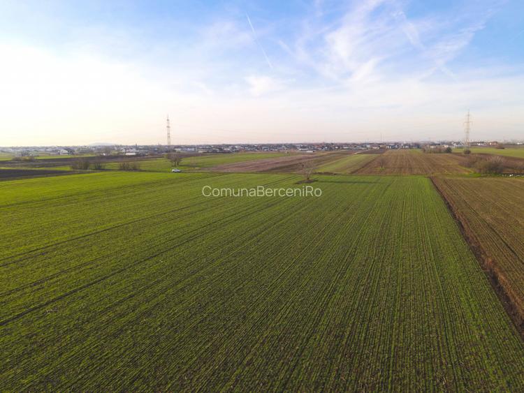 Teren Investitional 1,24 ha Com Berceni | deschidere 42ml | #CG28 - 7