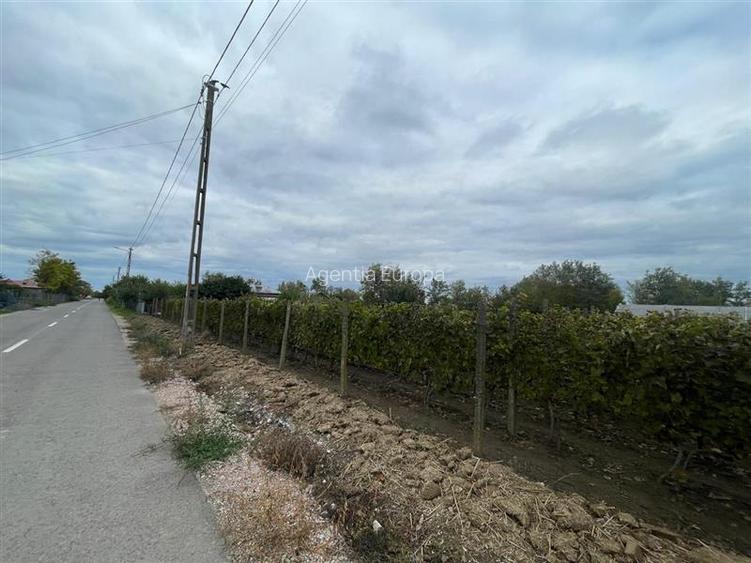 Teren de vanzare in localitatea Iazurile judetul Tulcea - 10