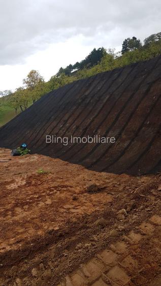 Teren intravilan, 729mp, Suceagu, Cluj - 3