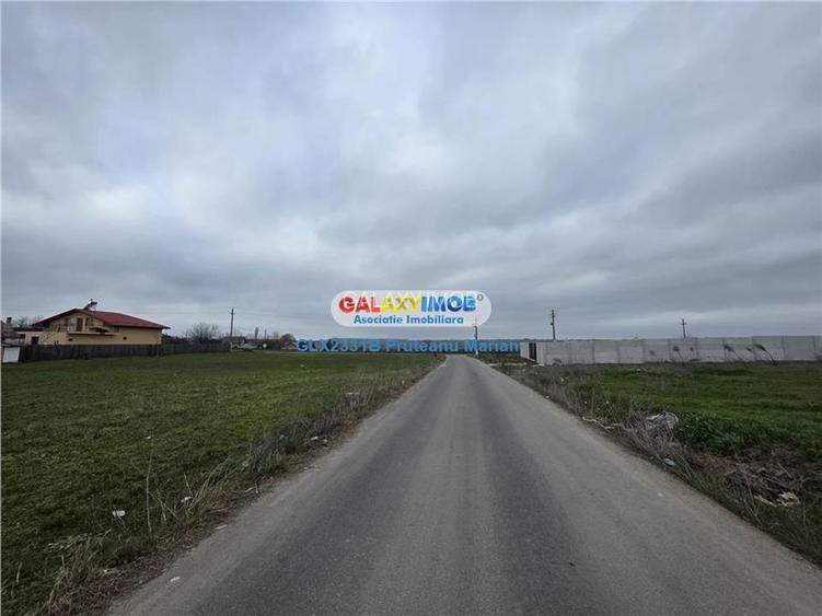 Vanzare lot de teren 1700 mp in apropriere de lac si padurea Cernica - 6