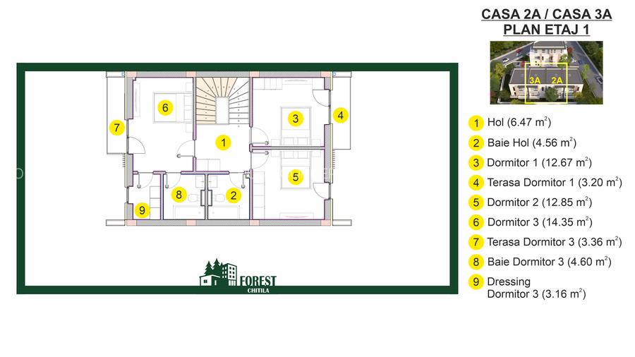 Vilă la liziera pădurii Mogoșoaia - 31