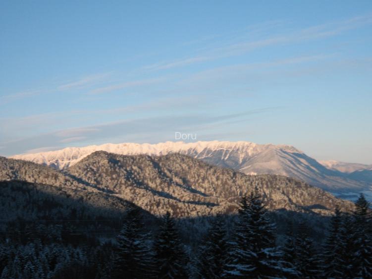 Vand teren intravilan 5500 mp PUZ, studiu GEO, ridicare TOPO, apa, gaz, curent - 5