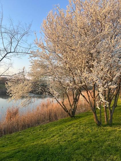 Vila 6 camere / Townhouse Avalon Estate - 37