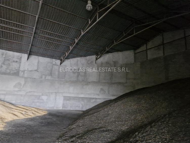 EXCLUSIVITATE! Afacere - Depozit cereale - Lumina-350.000 euro(Cod E8) - 12