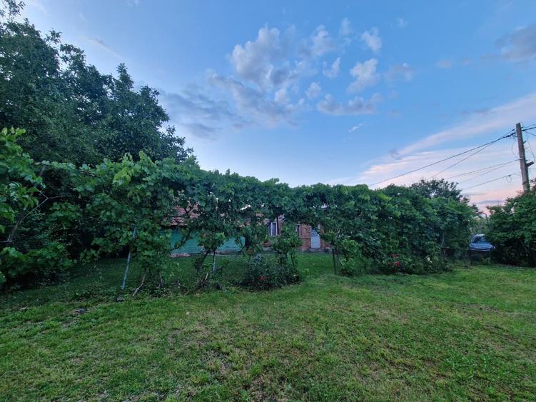 Casa cu teren de 1.536 mp de vanzare – Cretulesti, com. Matasaru, jud. Dambovita