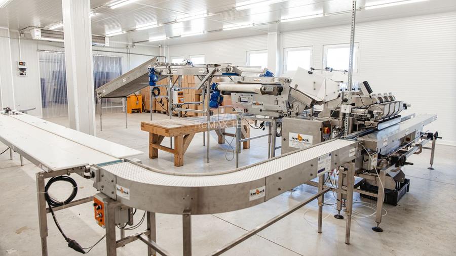 BUSINESS DE VANZARE Plantatie de afin din Romania - 2