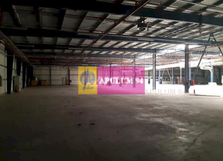 Spatiu Logistic langa Bucuresti Hala 5000 mp - 38