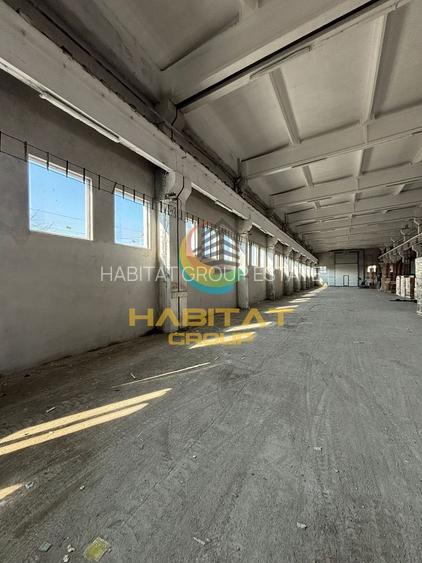 Hală industrială de închiriat – Popești-Leordeni, Strada Taberei - 8