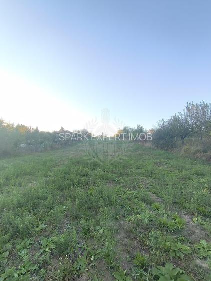 TEREN INTRAVILAN  PLOPU//3000 MP - 8